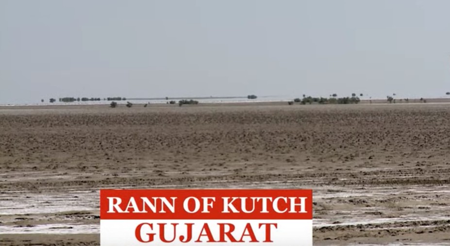 BSF in Mysterious Rann of Kutch