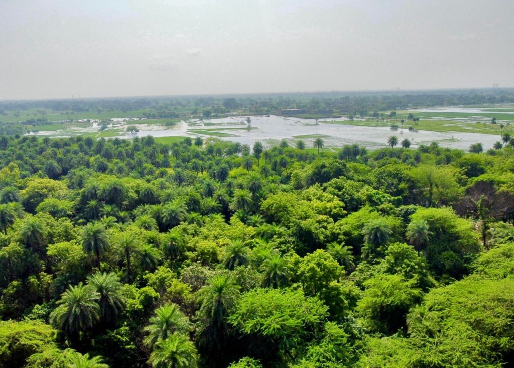 Two more wetlands in India get global RAMSAR Status