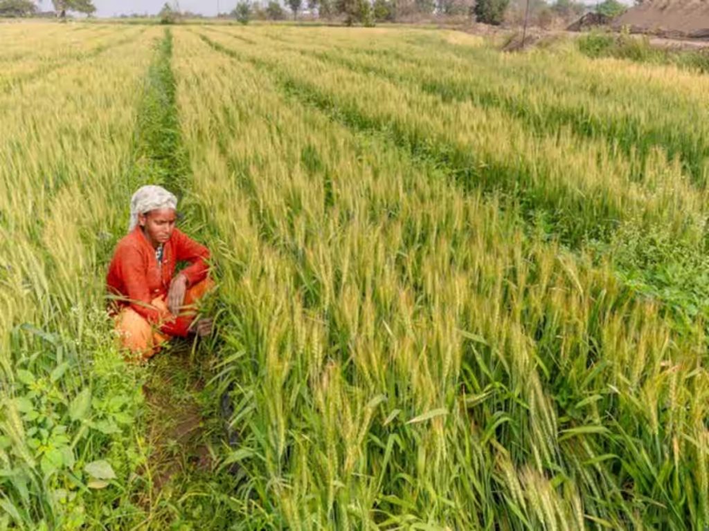 MSP for Kharif Crops announced for 2026-27